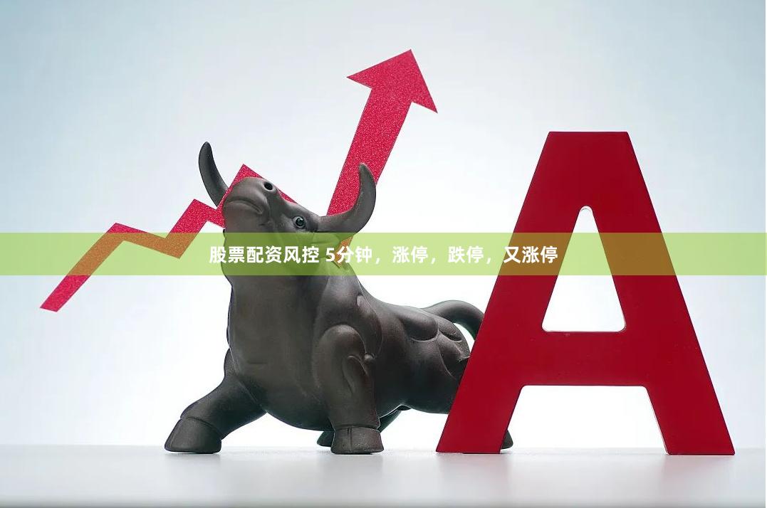 股票配资风控 5分钟，涨停，跌停，又涨停