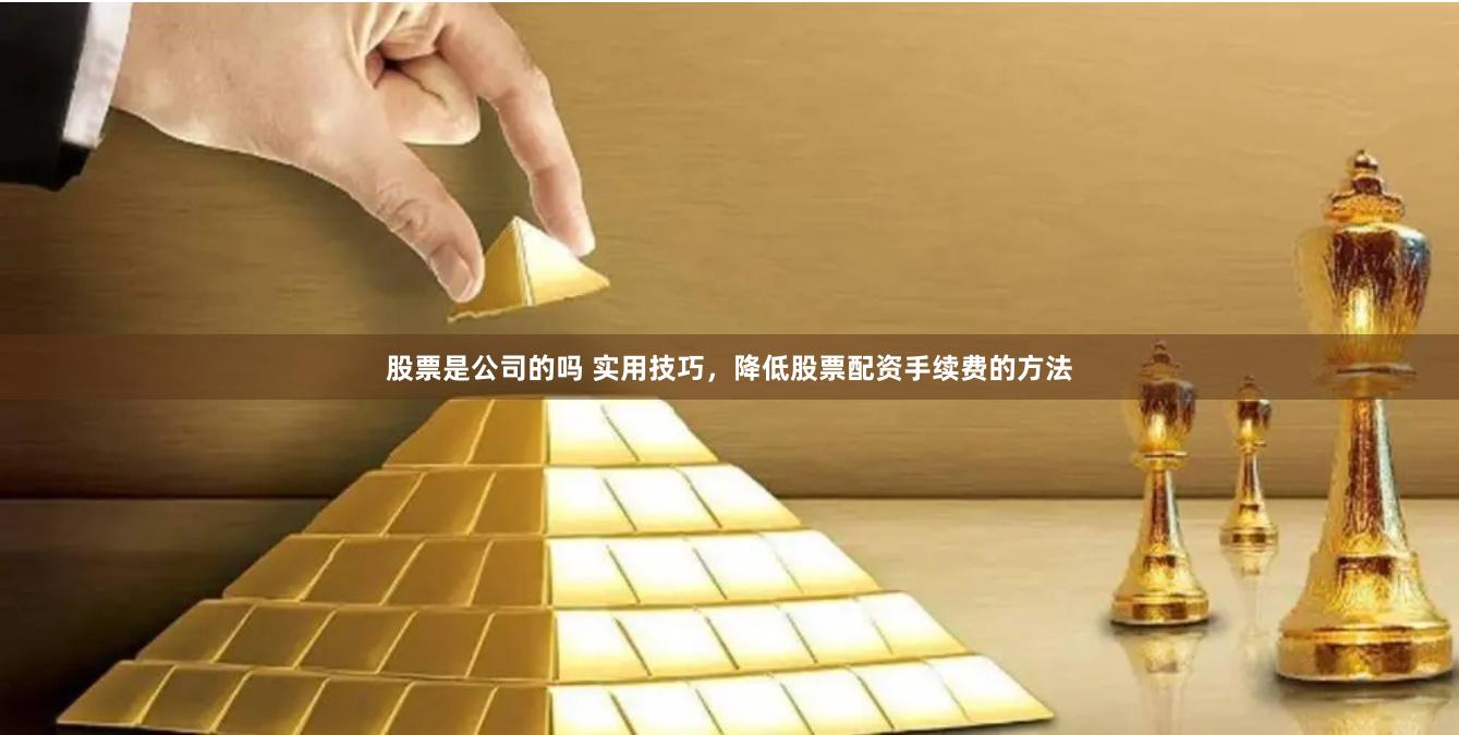 股票是公司的吗 实用技巧，降低股票配资手续费的方法